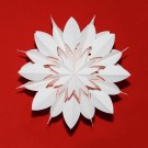 Kerstster nr. 46 - Witte Snowflake "flower" - Sneeuwvlok - Papieren Kerststerren - Kerstdecoratie - Ã 60 cm - zonder verlichtingsset - Kerst
